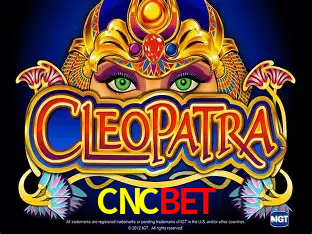 Jogos de mesa e apostas rápidas na CNCBET